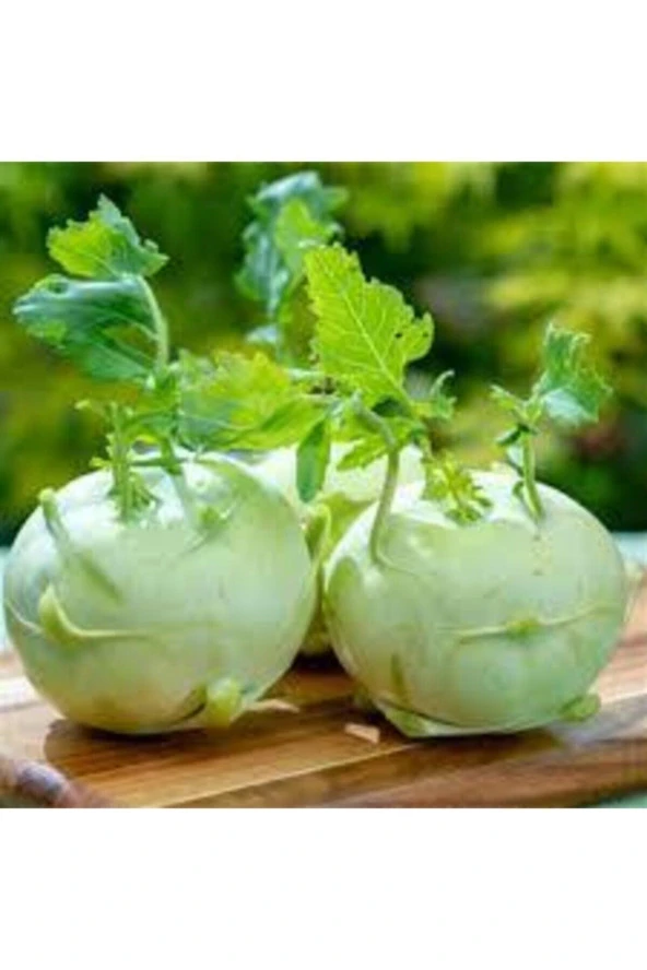 50 Adet Tohum Süper Paket Alabaş Turp Tohumu Sürpriz Hediye Tohum ürün görseli 1