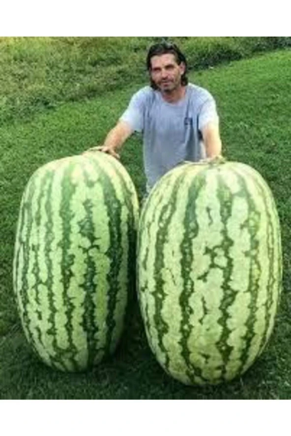 250 Adet Tohum Eko Paket Meşhur Diyarbakır Karpuzu Tohumu Karpuz Tohumu Sürpriz Hediye Tohum