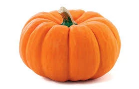 50 Adet Tohum Iri Bal Kabağı Tohumu Sürpriz Hediye Sebze Tohumu Tatlı Kabağı Sürpriz Hediye Tohumlu - 2