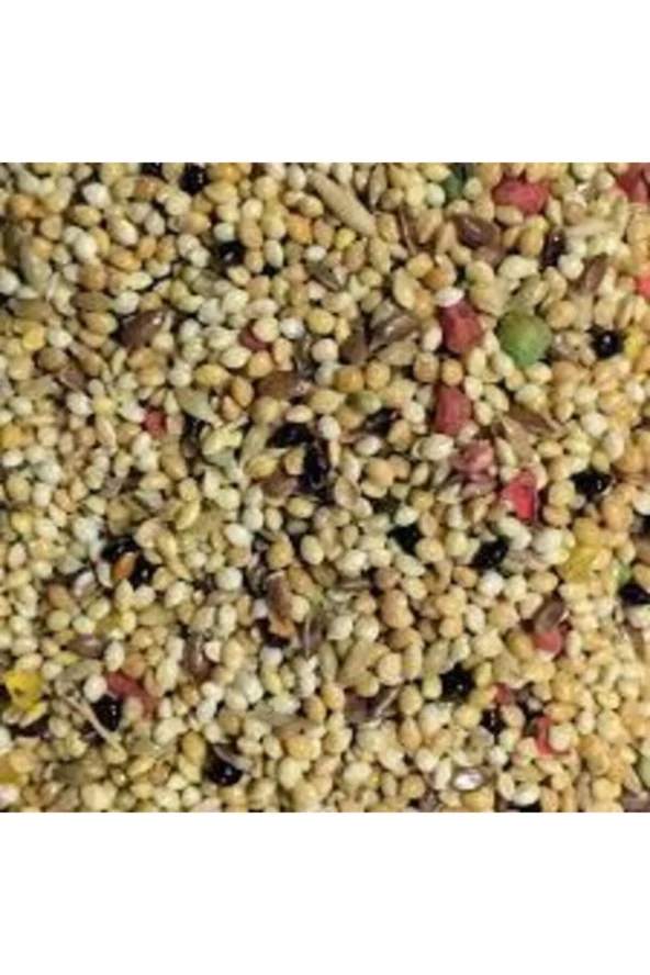 500gr Üçlü Karışım Kuş Yemi Her Kuş Için Özel Üretilmiştir Kuş Yemi Kanarya Hint Bülbülü Ödüllü Kuş - Resim 3