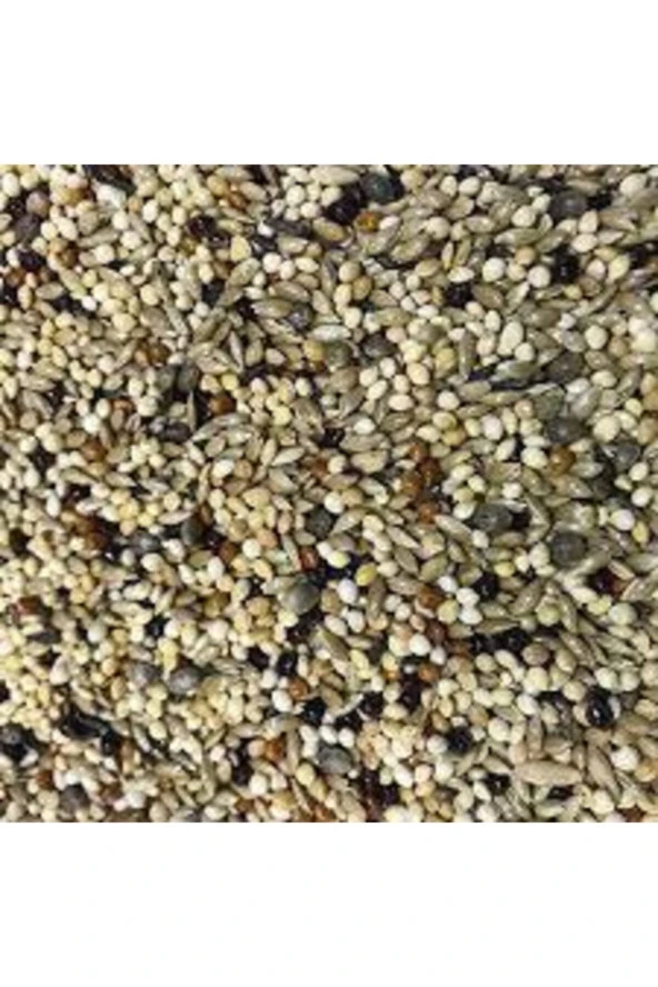 500gr Üçlü Karışım Kuş Yemi Her Kuş Için Özel Üretilmiştir Kuş Yemi Kanarya Hint Bülbülü Ödüllü Kuş - Resim 2