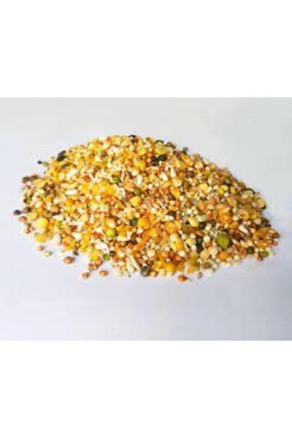 1kğ Saf Kuş Yemi Her Türlü Kuş Için Uygun Besleyici Mineralli Kuş Yemi Muhabbet Kanarya Hint Bülbülü - Resim 3