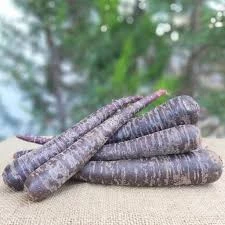 250 Adet Nadir Tohum Eko Paket Esvet Mor Havuç Şalgam Tohumu Sürpriz Hediye Tohumludur - 3