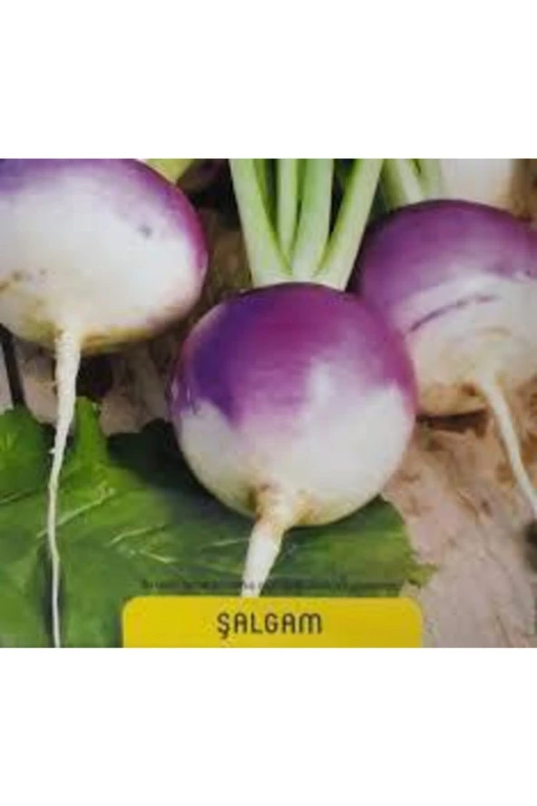 75 Adet Tohum Süper Paket Şalgam Turpu Tohumu Turp Tohumu Sürpriz Hediye Tohumludur ürün görseli 1