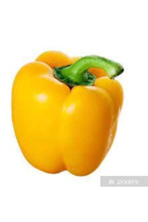 20 Adet Tohum Saksılık Organik Sarı Dolmalık Biber Tohumu Saksı Toprak Sürpriz Hediye Tohumludur ürün görseli 1