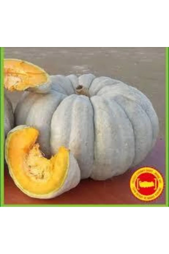 30 Adet Tohum Nadir Organik Meşhur Kestane Kabağı Tohumu Kabak Tohumu Sürpriz Hediye Tohumludur ürün görseli 1