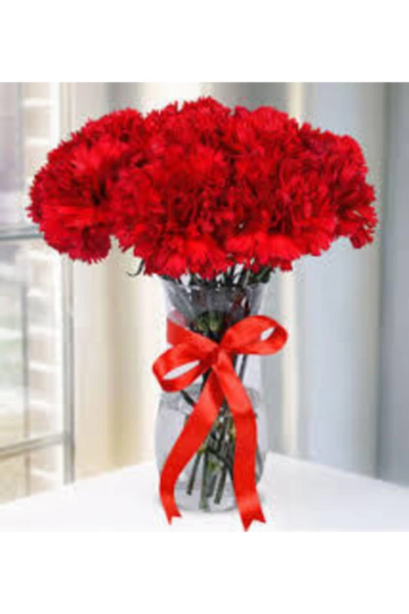 100 Adet Tohum Kırmızı Bodur Karanfil Çiçeği Tohumu Karanfil Tohumu - Resim 2