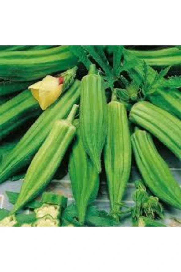 80 Adet Organik Sultani Bamya Tohumu ürün görseli 1