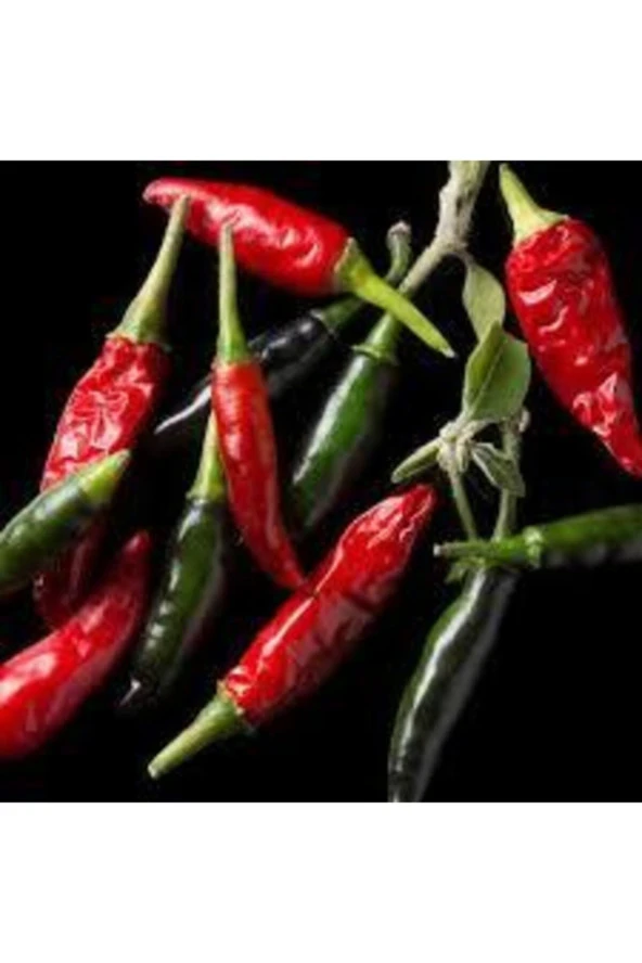 150 Adet Tohum Nadir Çok Acı Uzak Doğu Tayland Süs Biberi Tohumu Saksı Toprak Hediyemizdir