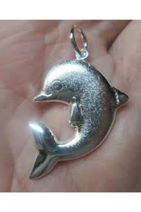 Paslanmaz Çelik Yunus Balığı Şans Uğur Kolye Yeni Tasarımlar Yunus Balığı Kadın Kolye Zincirli