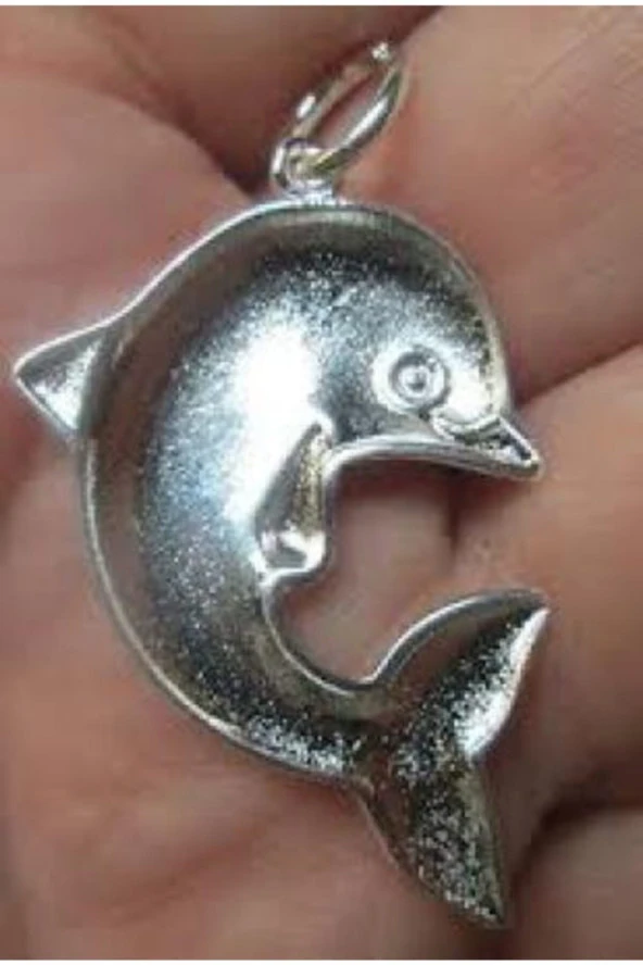 Paslanmaz Çelik Yunus Balığı Şans Uğur Kolye Yeni Tasarımlar Yunus Balığı Kadın Kolye Zincirli - 2