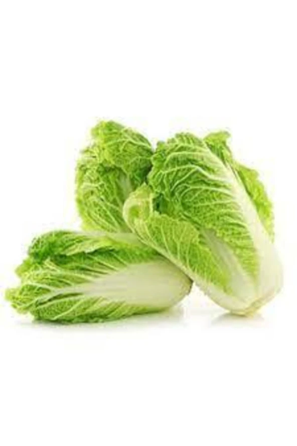 25 Adet Tohum Nadir Çin Yaprak Lahana Tohum Lahana Tohumu Süpriz Hediye Tohumludur