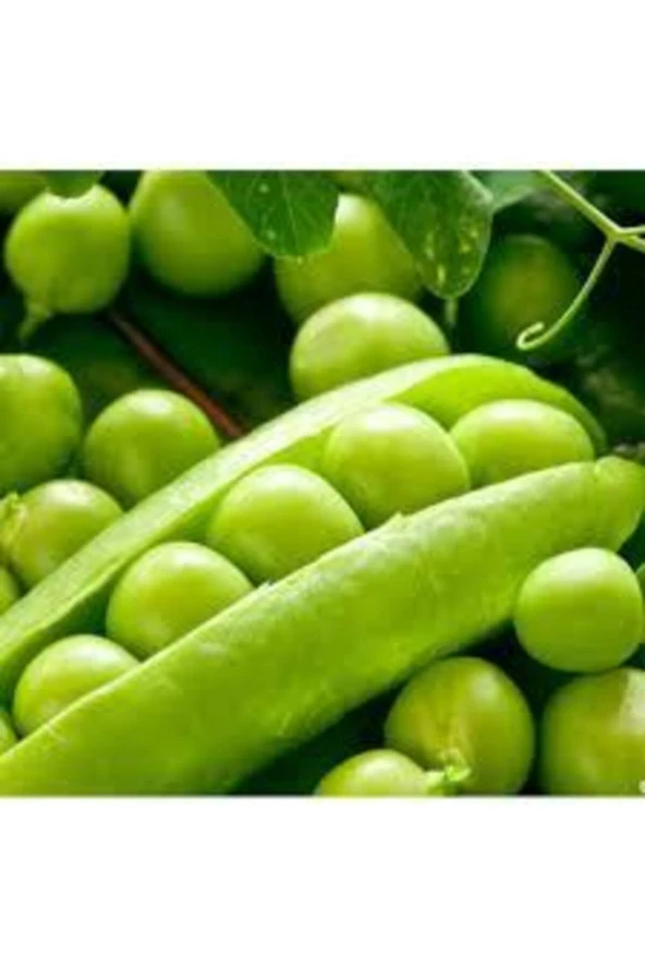 200 Adet Tohum Organik Orjinal Geleneksel Bezelye Tohumu Sebze Tohumu ürün görseli 1