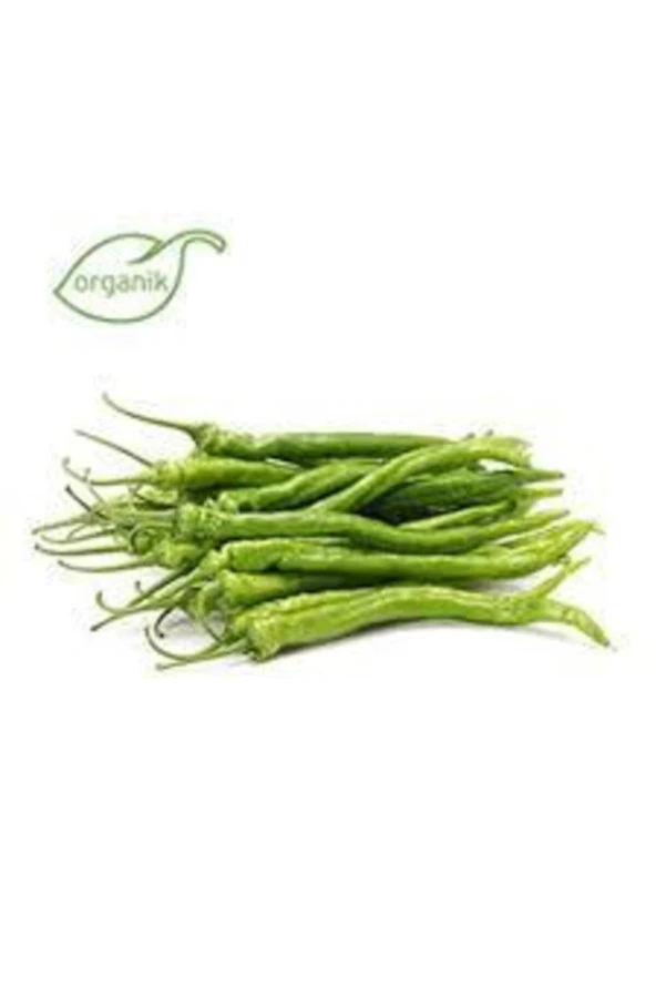 25 Adet Tohum Tatlı Sivri Kıl Biber Tohumu Kıl Biberi Tohumu Sürpriz Hediye Tohum ürün görseli 1