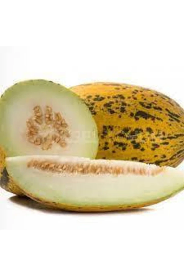 100 Adet Tohum Kırkağaç Ince Kabuk Altınbaş Kavun Tohumu Sürpriz Hediye Tohum ürün görseli 1