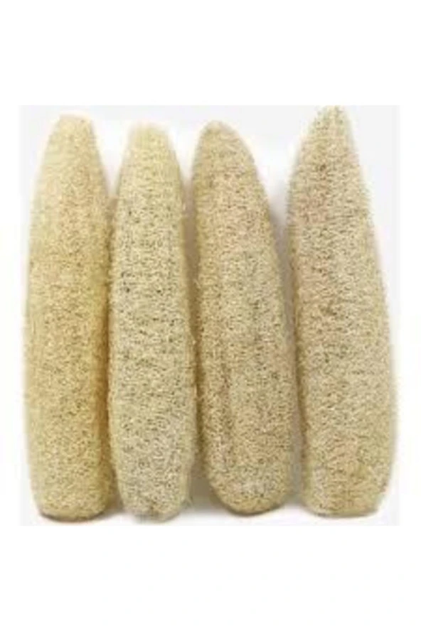 20 Adet Tohum Lif Kabak Tohumu Kabak Tohumu Lif Kabağı Tohumu Sürpriz Hediye Tohum - Resim 2