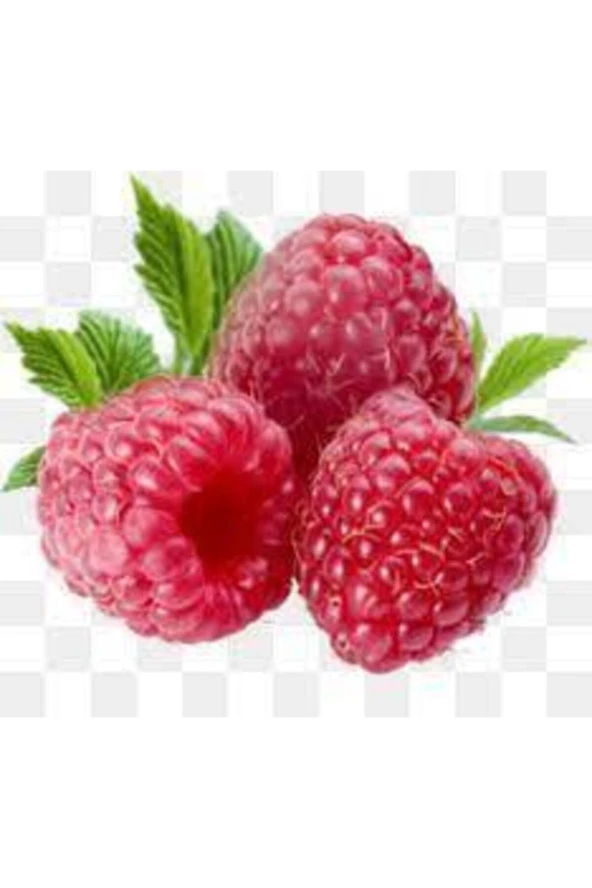 20 Adet Tohum Kırmızı Ahududu Böğürtlen Tohumu Kırmızı Böğürtlen Saksı Toprak - Resim 2