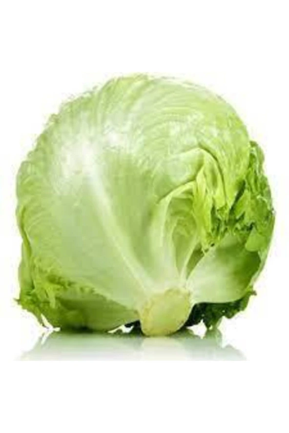 100 Adet Tohum Yerli Göbekli Iceberk Tohumu Sürpriz Hediye Tohum - Resim 2