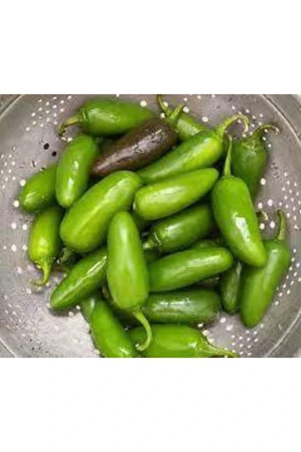 70 Adet Tohum Ithal Acı Jalepeno Biberi Tohumu Meksika Biberi Tohumu Süpriz Hediye Tohum Zehir Acı ürün görseli 1