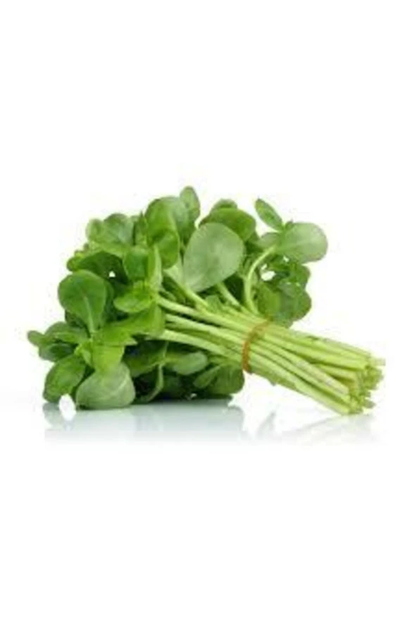 50 Adet Tohum Semiz Otu Tohumu Semizotu Tohumu Saksı Toprak Sürpriz Hediye Tohum ürün görseli 1