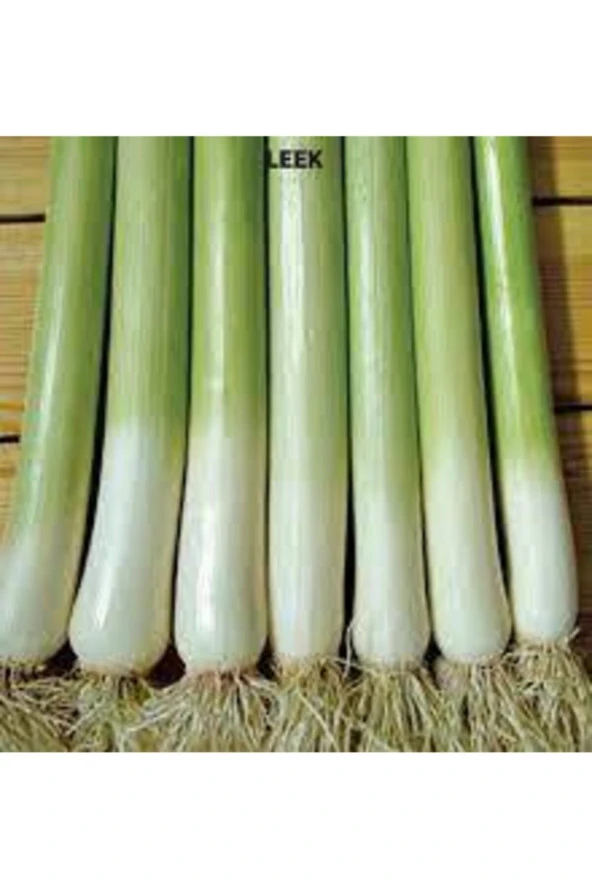 50 Adet Tohum Bursa Inegöl Pırasa Tohumu Prasa Tohumu Süpriz Hediye Sebze Tohumludur ürün görseli 1