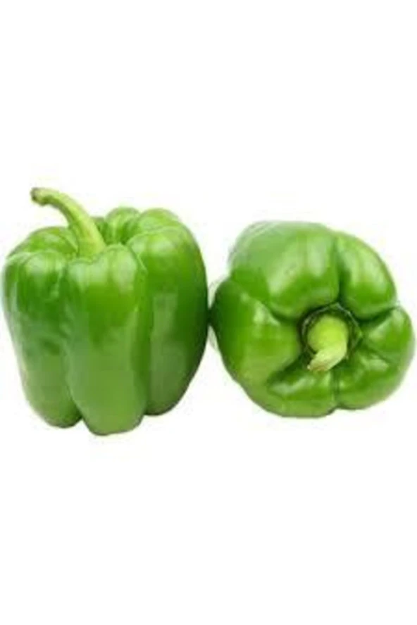 25 Adet Tohum Kandil Dolmalık Ince Kabuk Tatlı Meşhur Dolma Biber Tohum Saksı Toprak Sürpriz Hediye ürün görseli 1