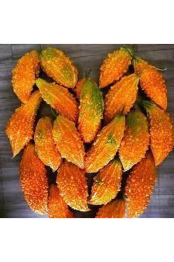 10 Adet Tohum Nadir Kudret Narı Tohumu Cennet Meyvesi Tohumu Süpriz Hediye Tohumlu ürün görseli 1