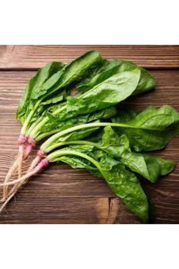 100 Adet Tohum Yerli Ispanak Tohumu Sürpriz Hediye Tohum Yeşil Ispanak Tohumludur ürün görseli 1