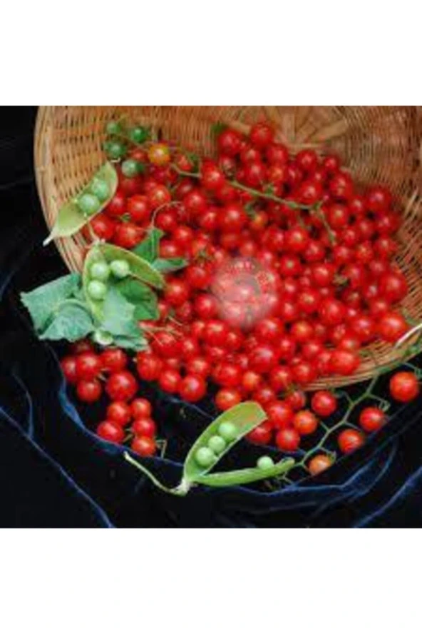 50 Adet Tohum Nadir Ithal Cherry Minik Bezelye Domates Tohumu Sürpriz Hediye Tohum - Resim 3