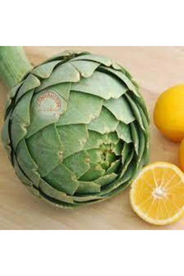 10 Adet Tohum Enginar Tohumu Geleneksel Tohum Sürpriz Hediye Tohumludur ürün görseli 1