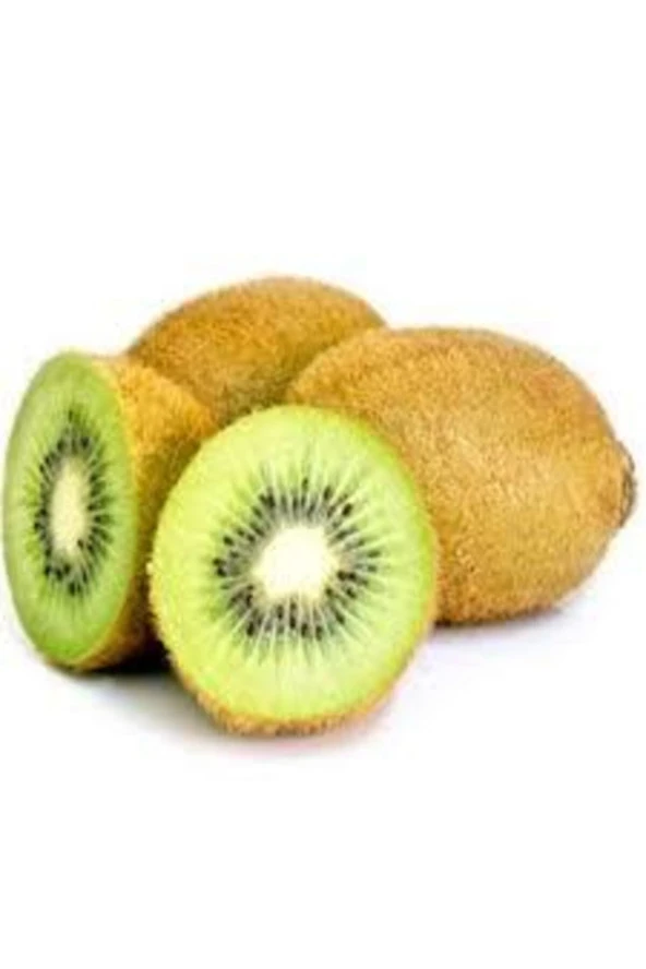 20 Adet Tohum Bodur Kivi Bonsai Ağacı Tohumu Saksı Toprak Sürpriz Hediye Bonsai Ağacı Tohumludur - 2