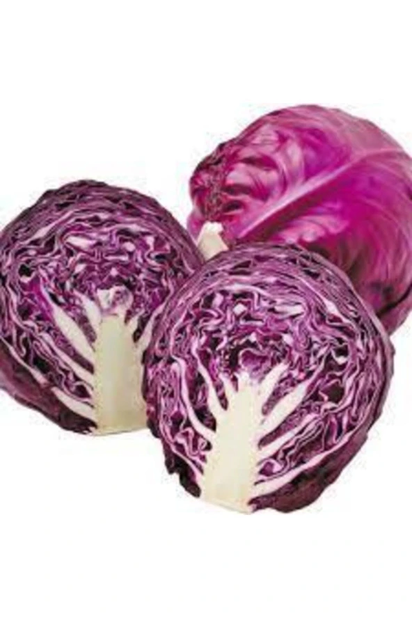 75 Adet Tohum Kırmızı Mor Lahana Kara Lahana Tohumu Sürpriz Hediye Tohum ürün görseli 1