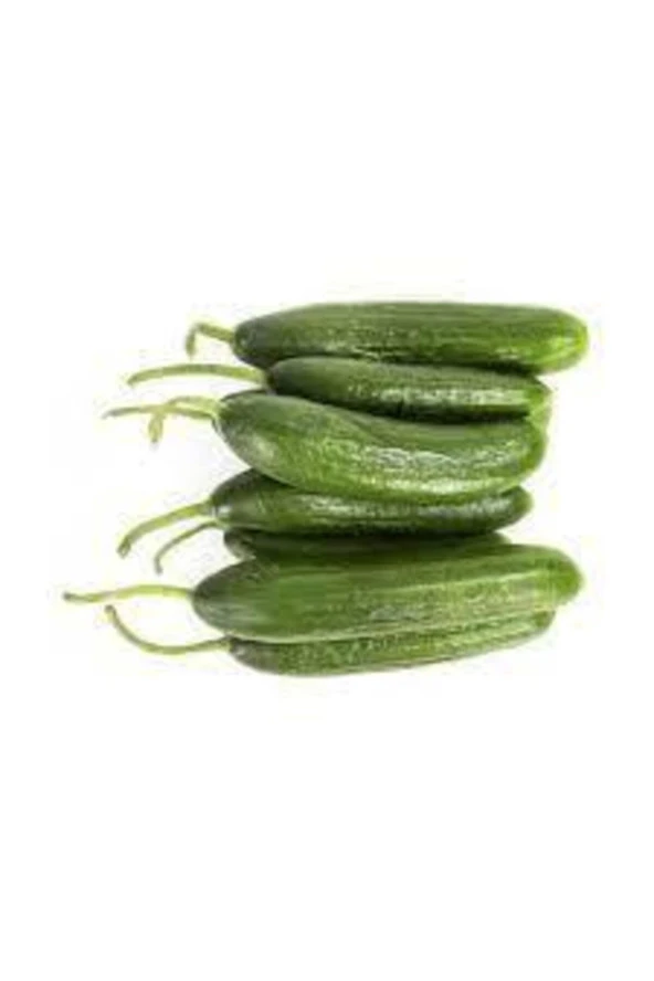 20 Adet Tohum Yerli Çengelköy Salatalık Tohumu Mis Kokulu Erkenci Köy Salatalık Tohumu Sürpriz Tohum ürün görseli 1