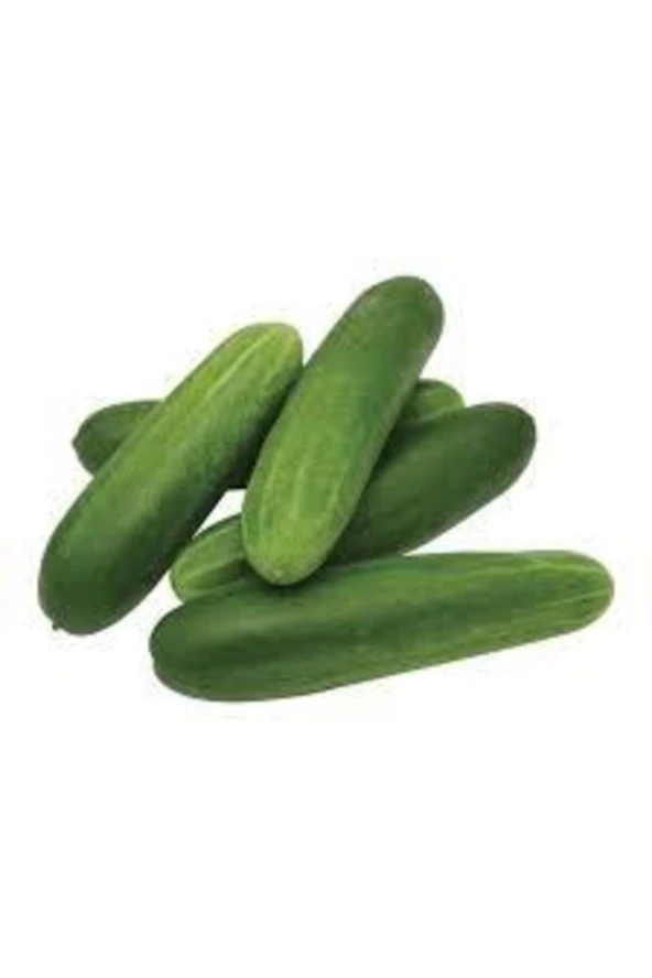 20 Adet Tohum Yerli Çengelköy Salatalık Tohumu Mis Kokulu Erkenci Köy Salatalık Tohumu Sürpriz Tohum - Resim 2