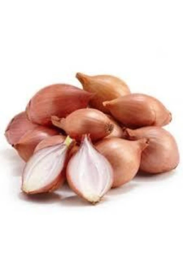 300 Adet Tohum Süper Paket Kıska Soğan Tohumu Soğan Kıskası Tohum Sürpriz Hediye Sebze Tohumlu ürün görseli 1