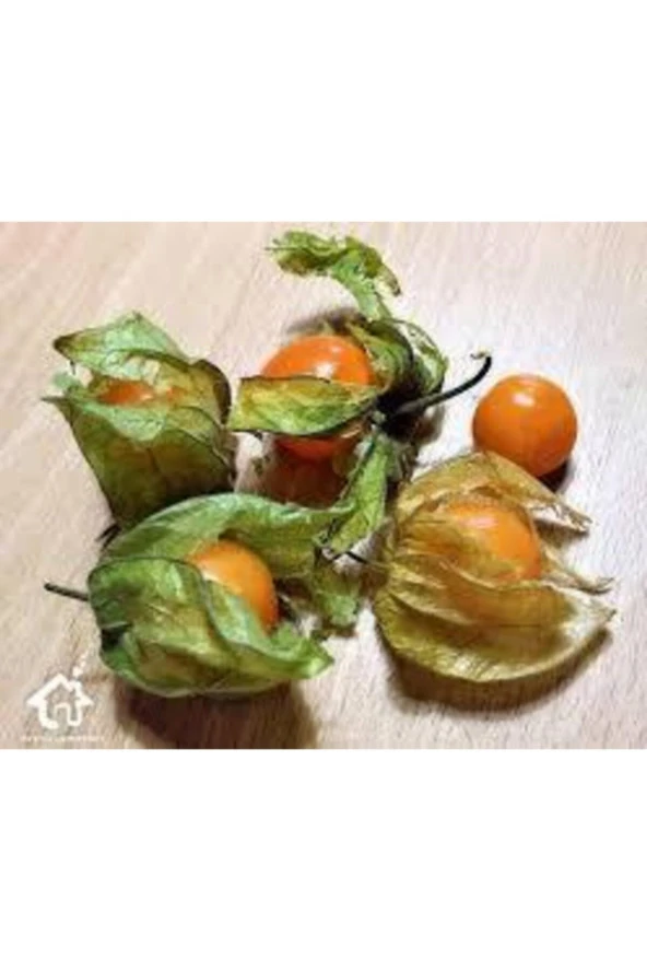 25 Adet Tohum Tropikal Altın Çilek Güney Feneri Tohumu Sürpriz Hediye Tohum