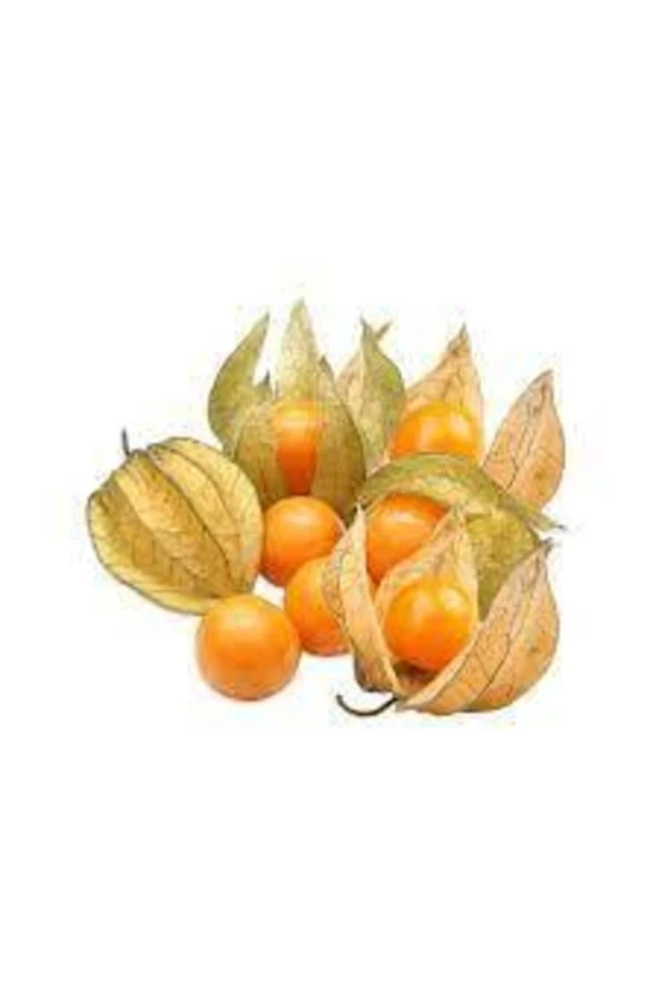 25 Adet Tohum Tropikal Altın Çilek Güney Feneri Tohumu Sürpriz Hediye Tohum - 2