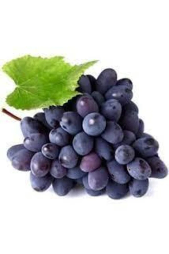 20 Adet Tohum Siyah Üzüm Black Magic Asma Ağacı Tohumu Sürpriz Hediye Bonsai Ağacı Tohumu ürün görseli 1