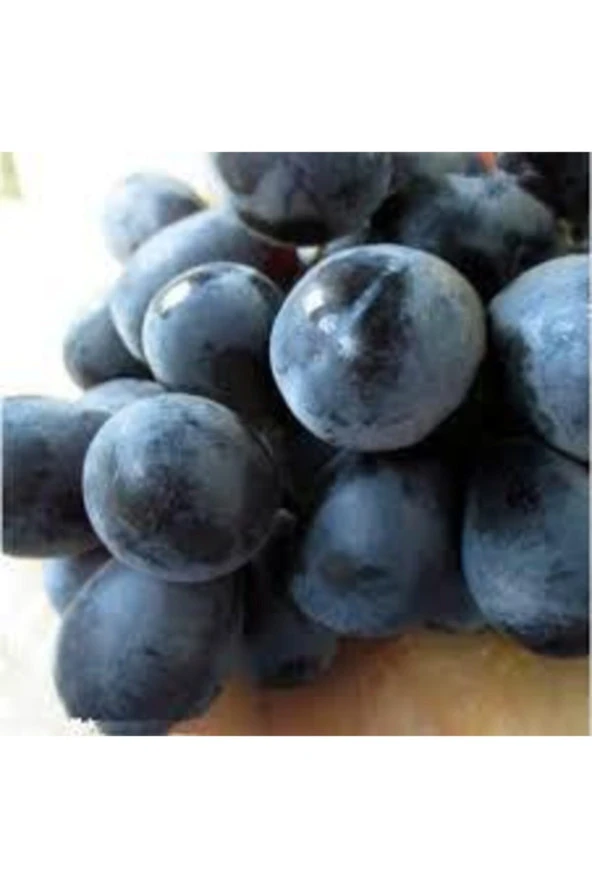 20 Adet Tohum Siyah Üzüm Black Magic Asma Ağacı Tohumu Sürpriz Hediye Bonsai Ağacı Tohumu - Resim 3