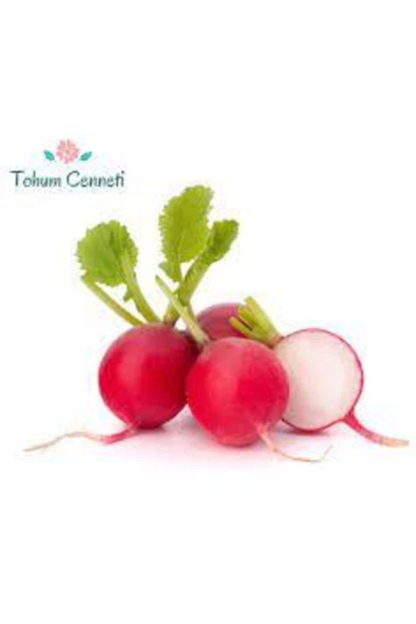 50 Adet Tohum Yerli Kırmızı Fındık Minik Mini Turp Tohumu Sürpriz Hediye Tohum - Resim 2