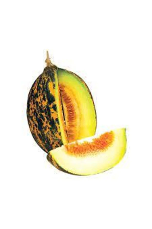 15 Adet Tohum Kırkağaç Ince Kabuk Altınbaş Kavun Tohumu Sürpriz Hediye Tohum - 3