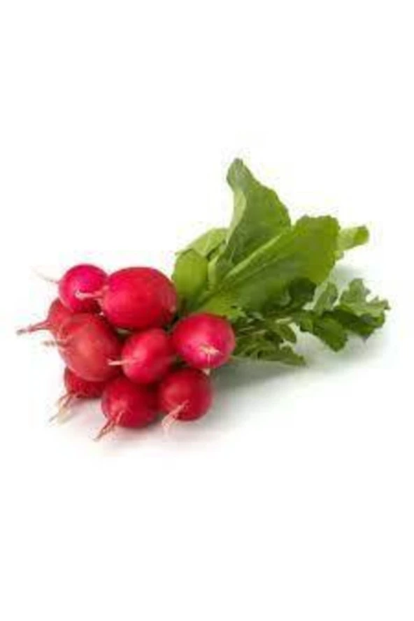 50 Adet Tohum Yerli Kırmızı Fındık Minik Mini Turp Tohumu Sürpriz Hediye Tohum - Resim 3