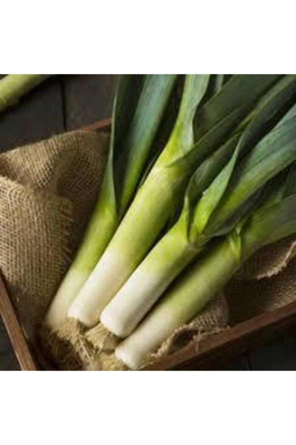 20 Adet Tohum Yeşil Prasa Pırasa Tohumu Orjinal Pırasa Tohumu Sürpriz Hediye Tohumlu ürün görseli 1