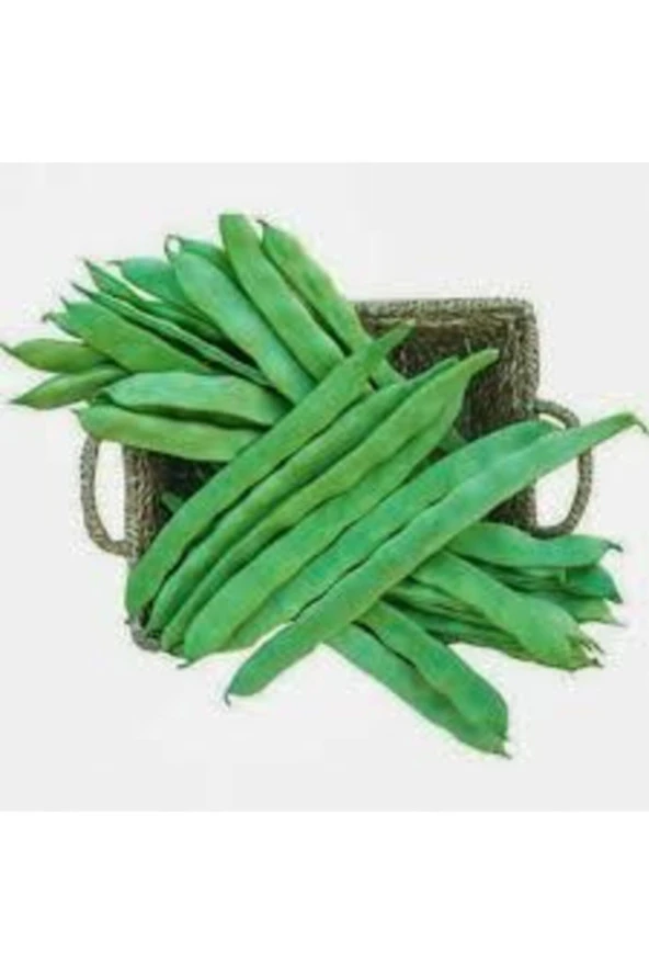 50 Adet Tohum Ayşe Kadın Fasulye Alman Kılçıksız Fasulye Tohumu Sürpriz Hediye Tohum