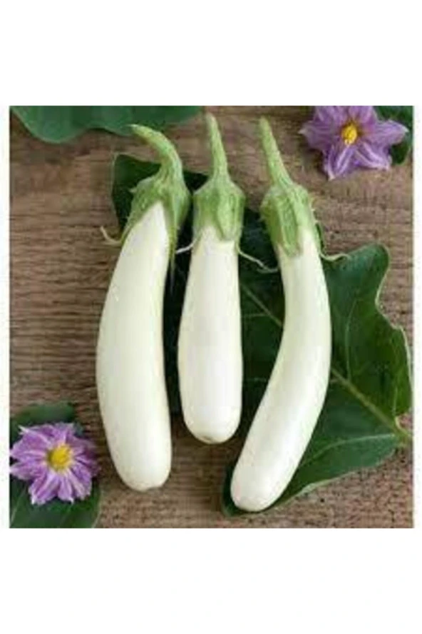 10 Adet Tohuım Nadir Beyaz Kemer Patlıcan Tohumu Kemer Patlıcan Tohumu Sürpriz Hediye Sebze Tahumla ürün görseli 1