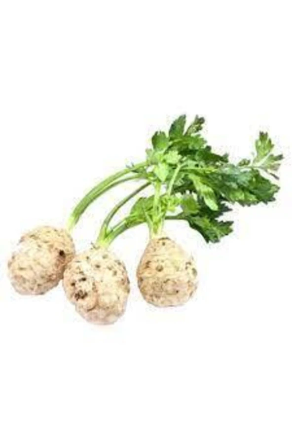 100 Adet Tohum Orjinal Kereviz Tohumu Ata Tohum Kereviz Tohumları ürün görseli 1