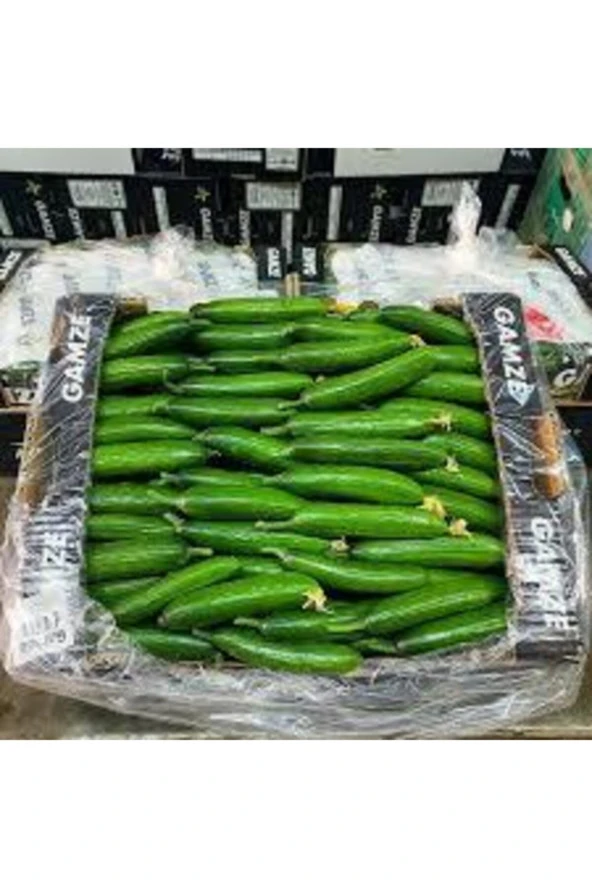 50 Adet Tohum Silor Yerli Parmak Salatalık Tohumu Orjinal Sülor Salatalık Sürpriz Tohum ürün görseli 1