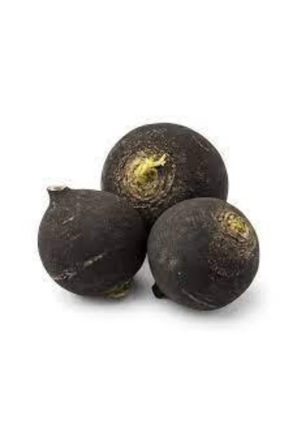 100 Adet Tohum Siyah Turp Tohumu Orjinal Kara Turp Siyah Turp Tohumu Sürpriz Hediye Tohumlu ürün görseli 1