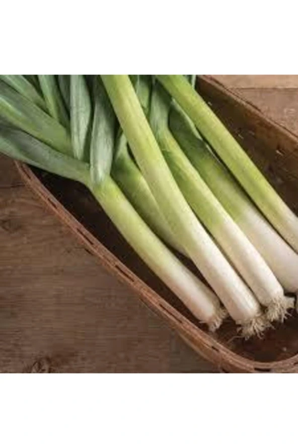 100 Adet Tohum Yeşil Prasa Pırasa Tohumu Ata Tohum Sürpriz Hediye Tohumlu ürün görseli 1