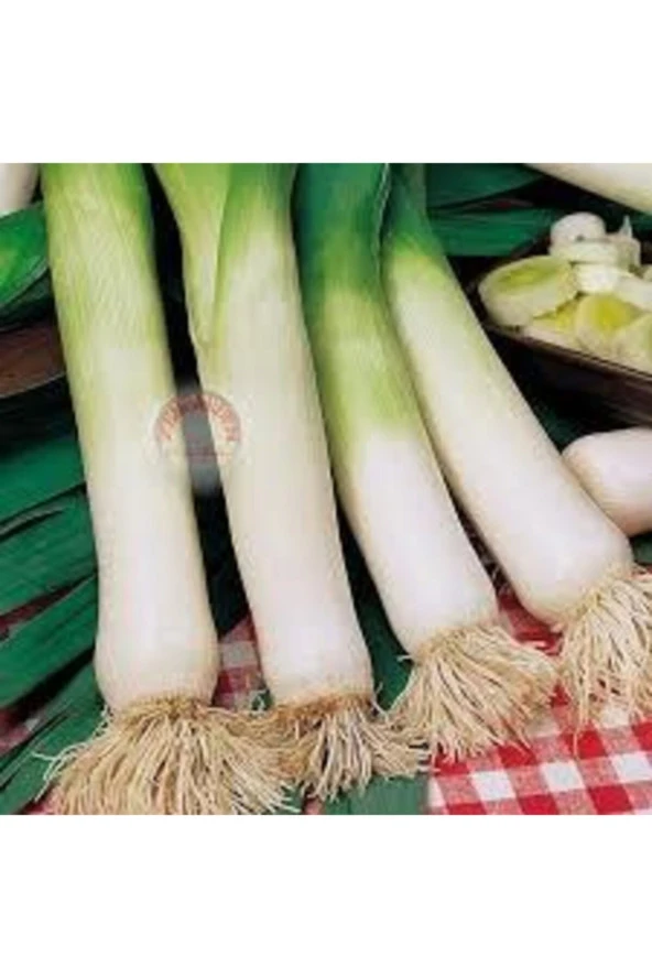 100 Adet Tohum Yeşil Prasa Pırasa Tohumu Ata Tohum Sürpriz Hediye Tohumlu - Resim 2